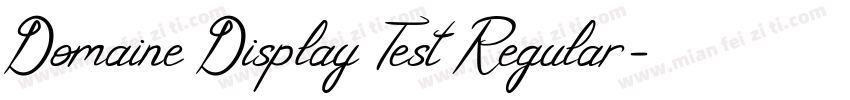 Domaine Display Test Regular字体转换